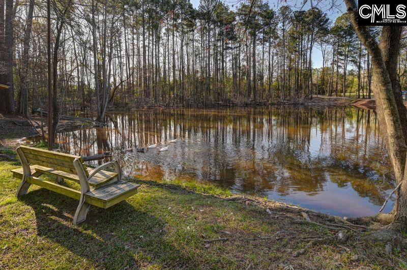 162 Baskin Hills Road Lexington, SC 29072