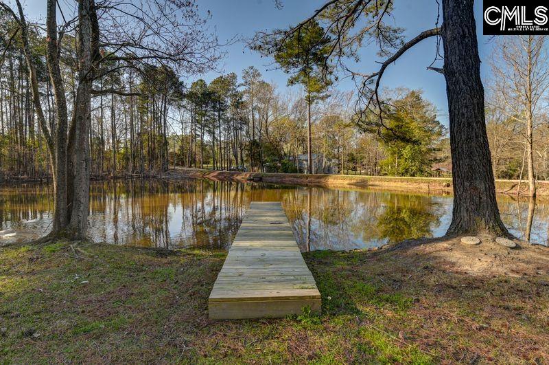 162 Baskin Hills Road Lexington, SC 29072