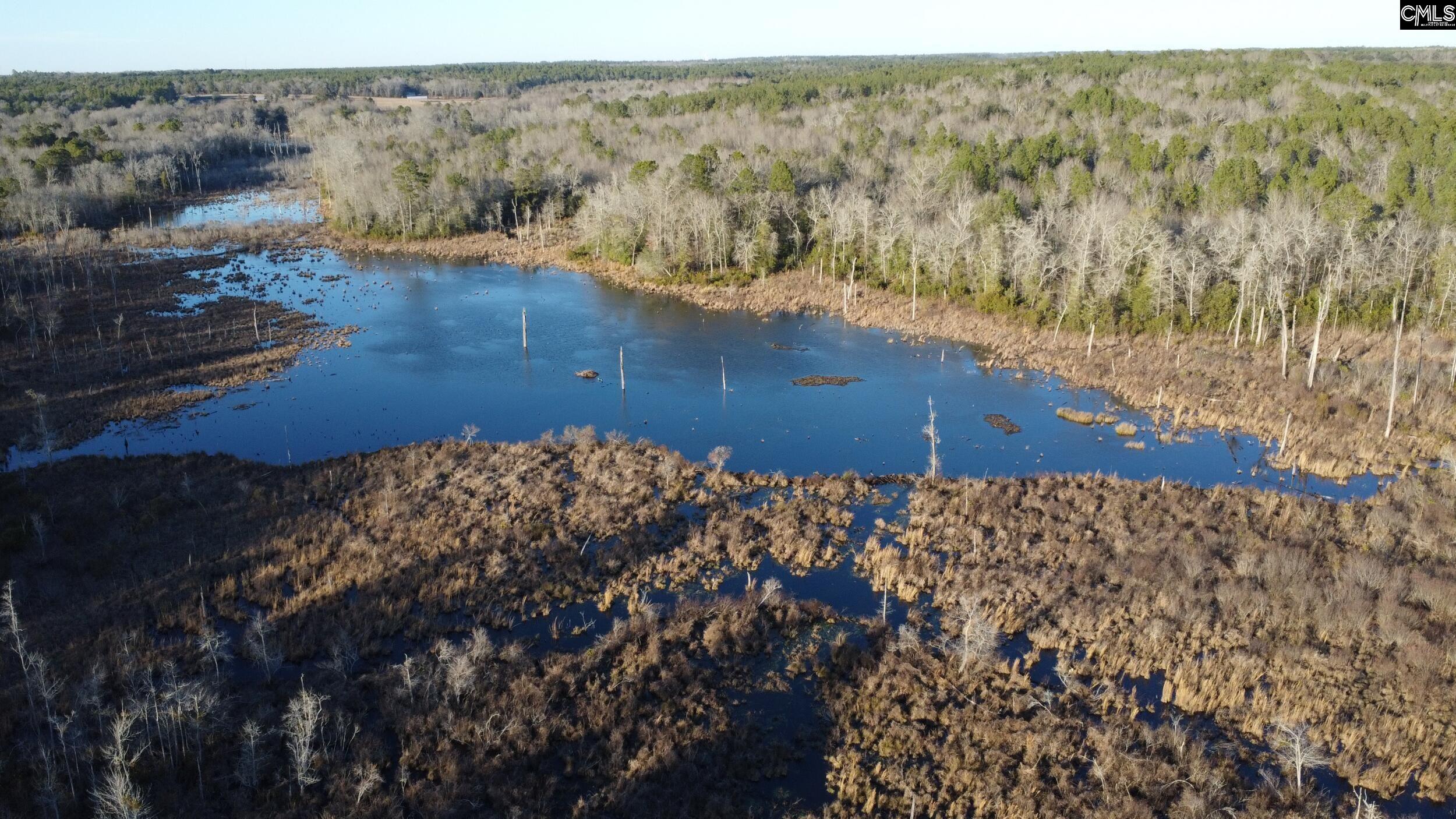 TBD Millers Pond Road Wagener, SC 29801-8229