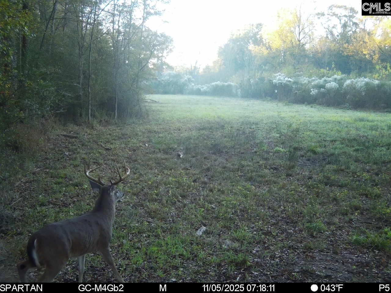561 Church Road Batesburg, SC 29006