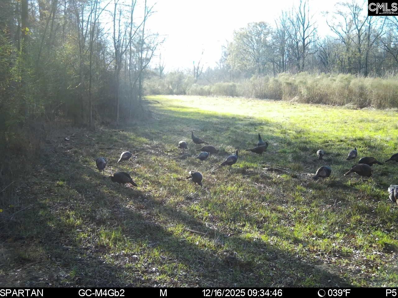 561 Church Road Batesburg, SC 29006