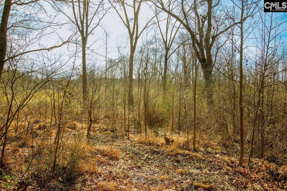 561 Church Road Batesburg, SC 29006