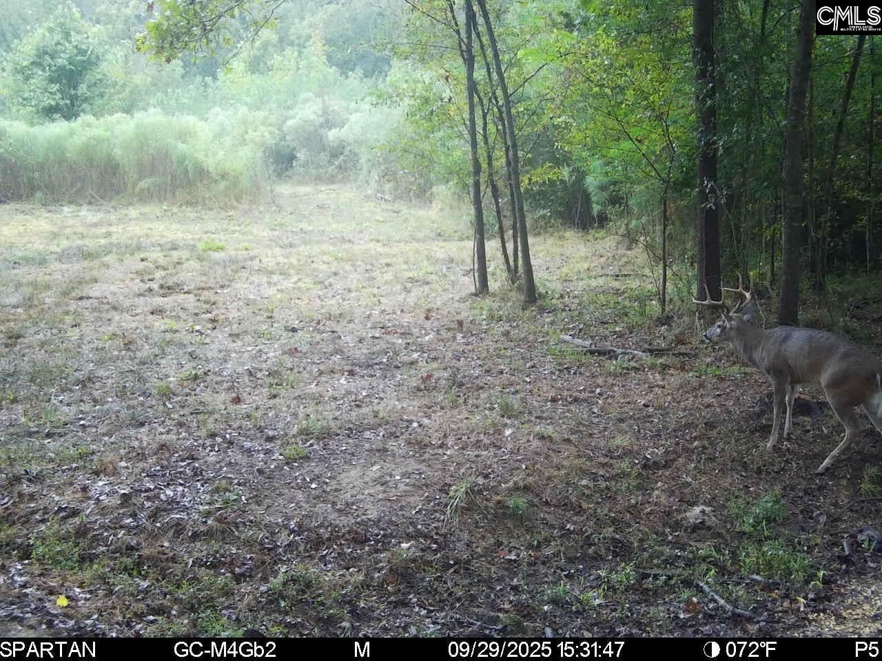 561 Church Road Batesburg, SC 29006
