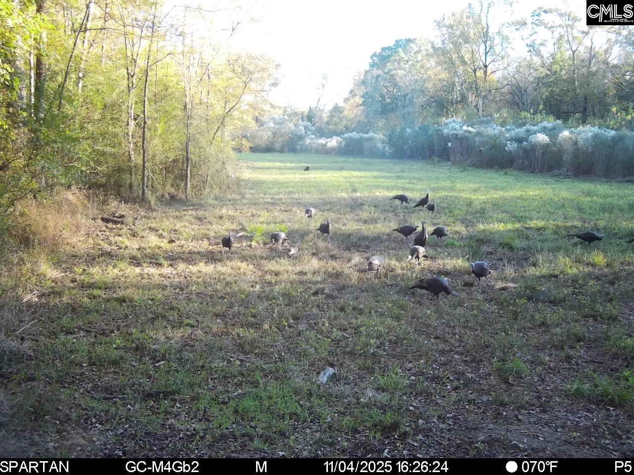 561 Church Road Batesburg, SC 29006