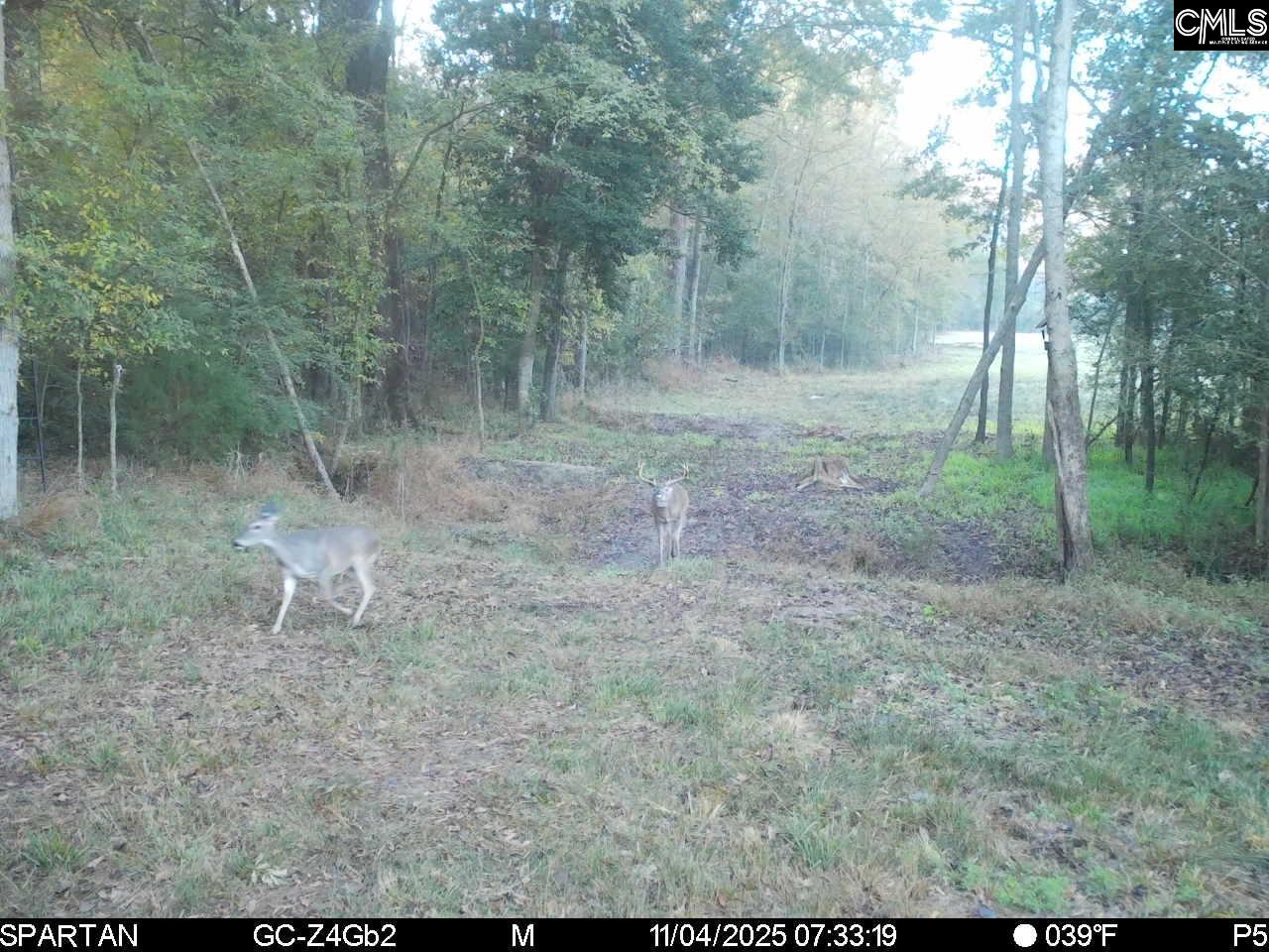 561 Church Road Batesburg, SC 29006
