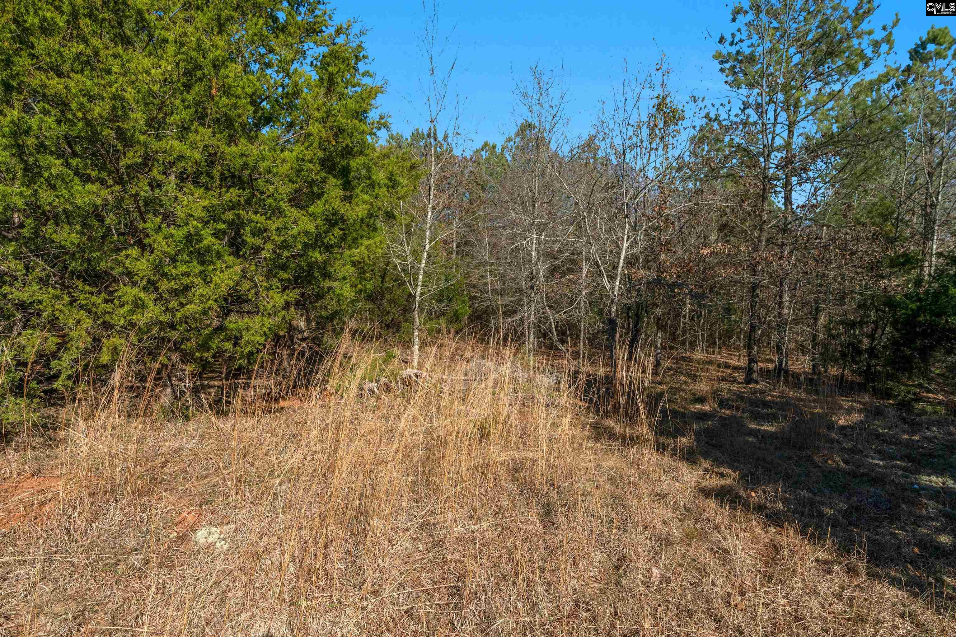 00 S Hwy 81 Calhoun Falls, SC 29628