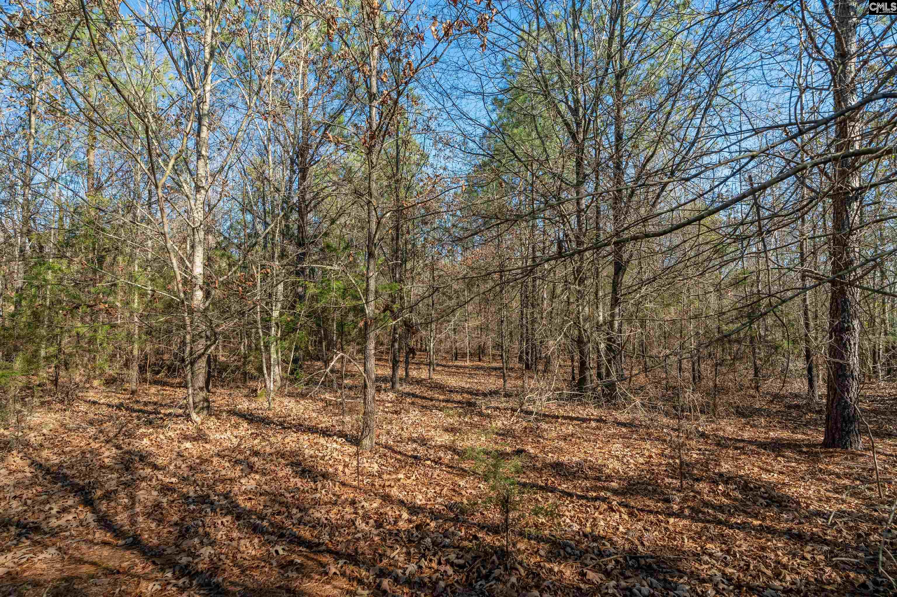00 S Hwy 81 Calhoun Falls, SC 29628
