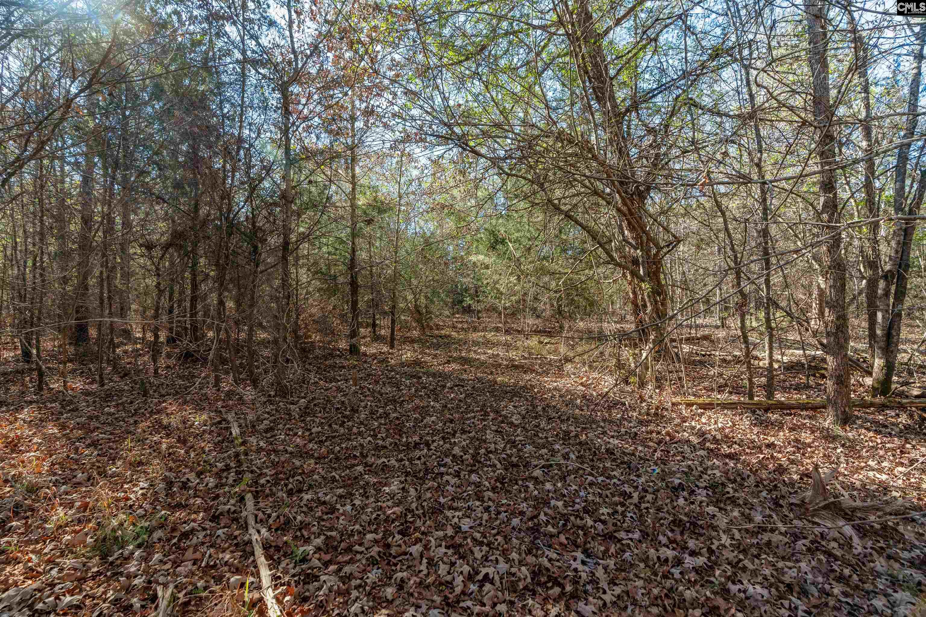 00 S Hwy 81 Calhoun Falls, SC 29628