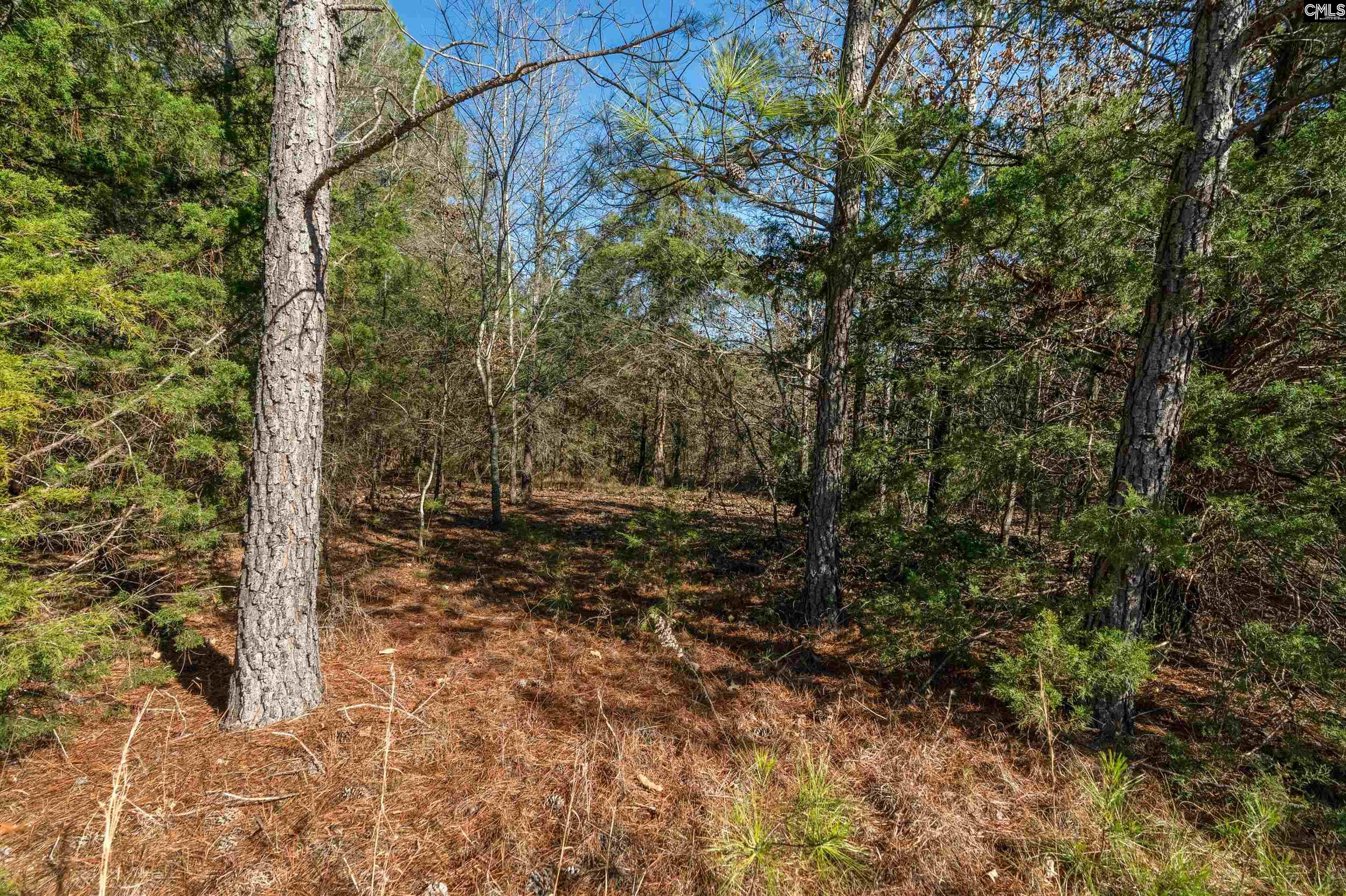 00 S Hwy 81 Calhoun Falls, SC 29628