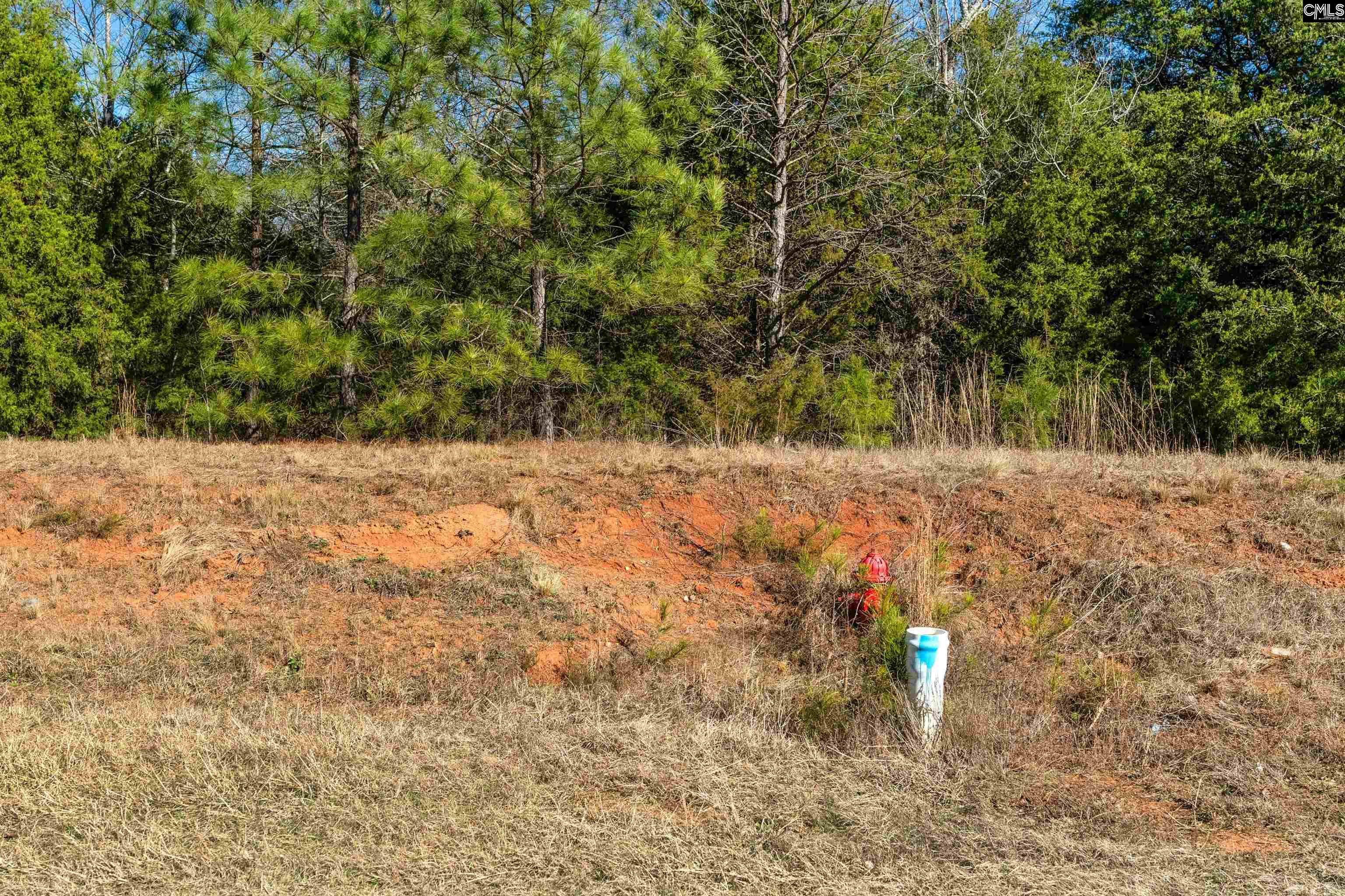 00 S Hwy 81 Calhoun Falls, SC 29628