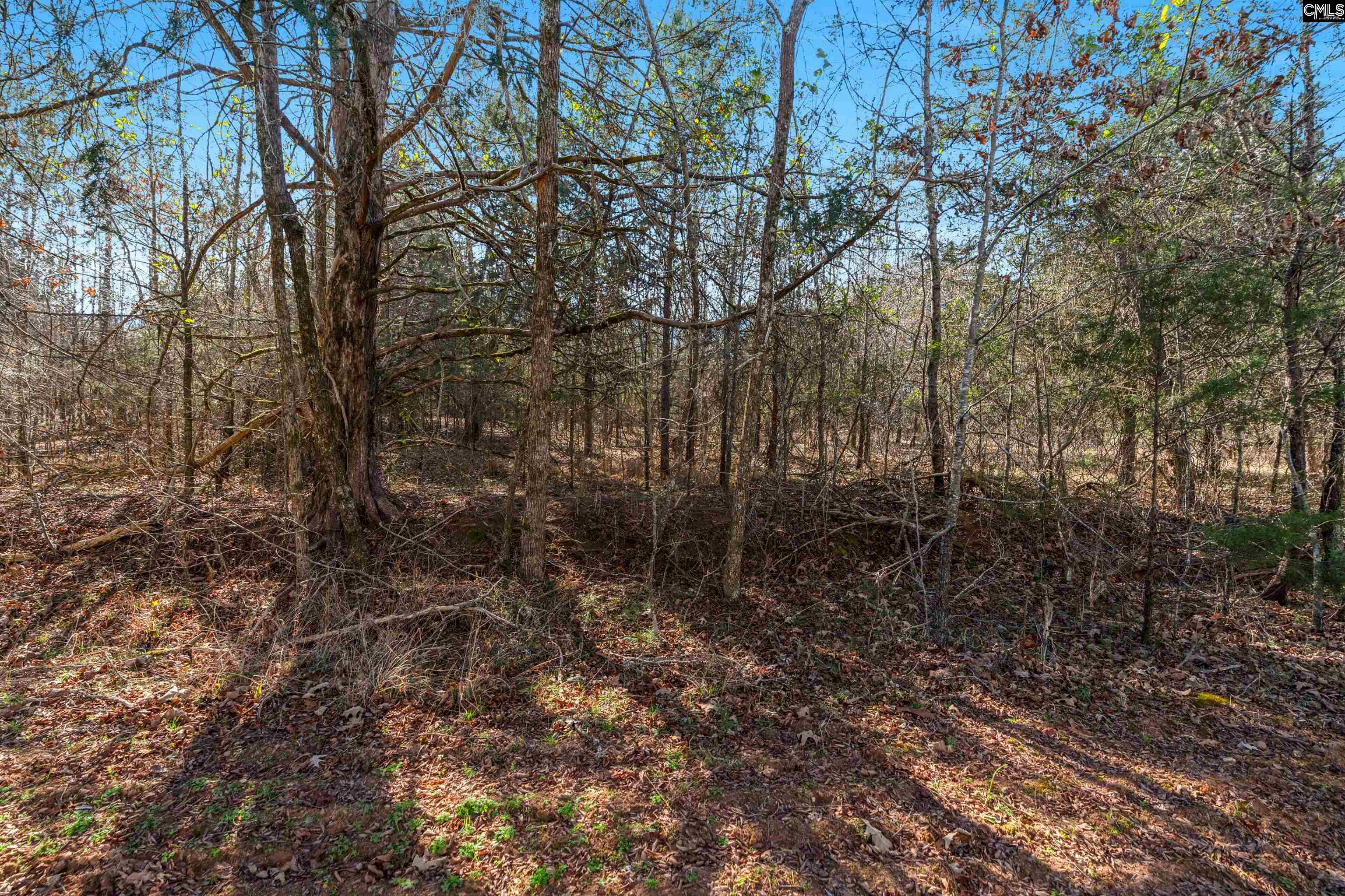 00 S Hwy 81 Calhoun Falls, SC 29628