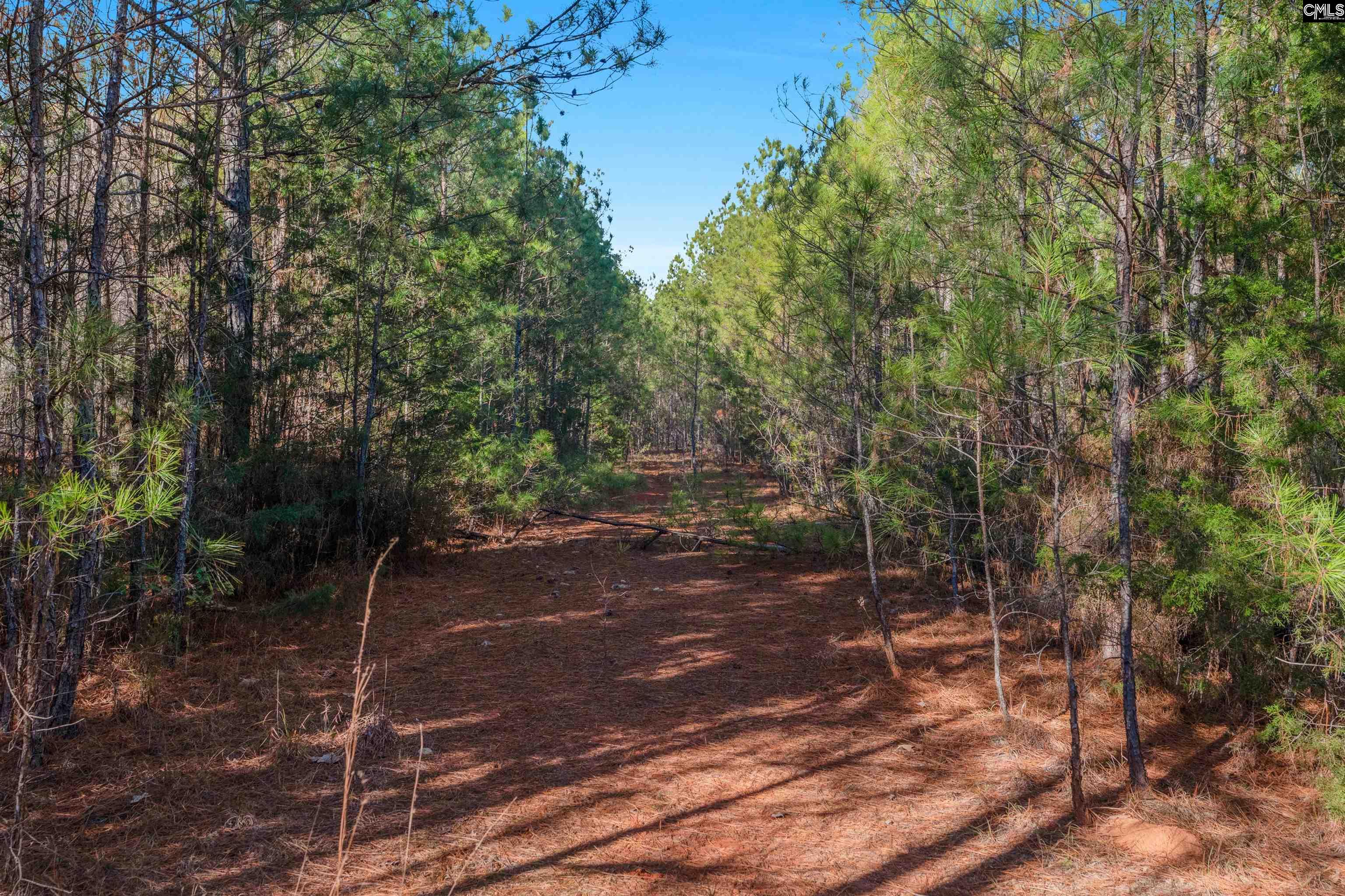 000 S Hwy 81 Calhoun Falls, SC 29628