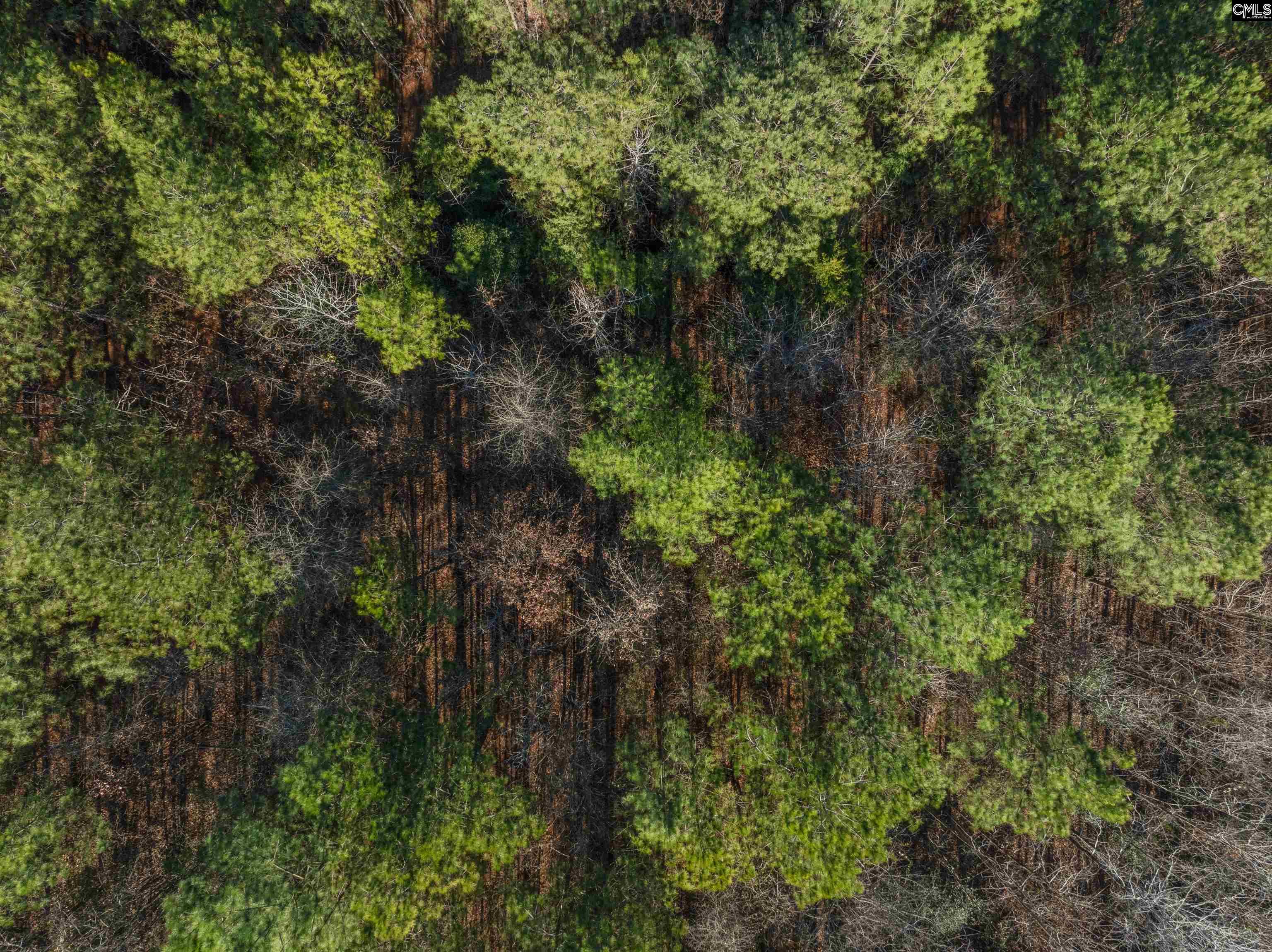000 S Hwy 81 Calhoun Falls, SC 29628