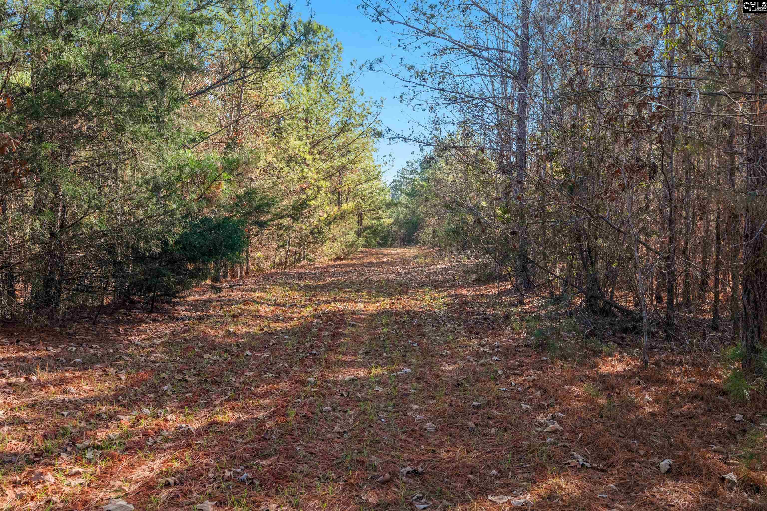 000 S Hwy 81 Calhoun Falls, SC 29628