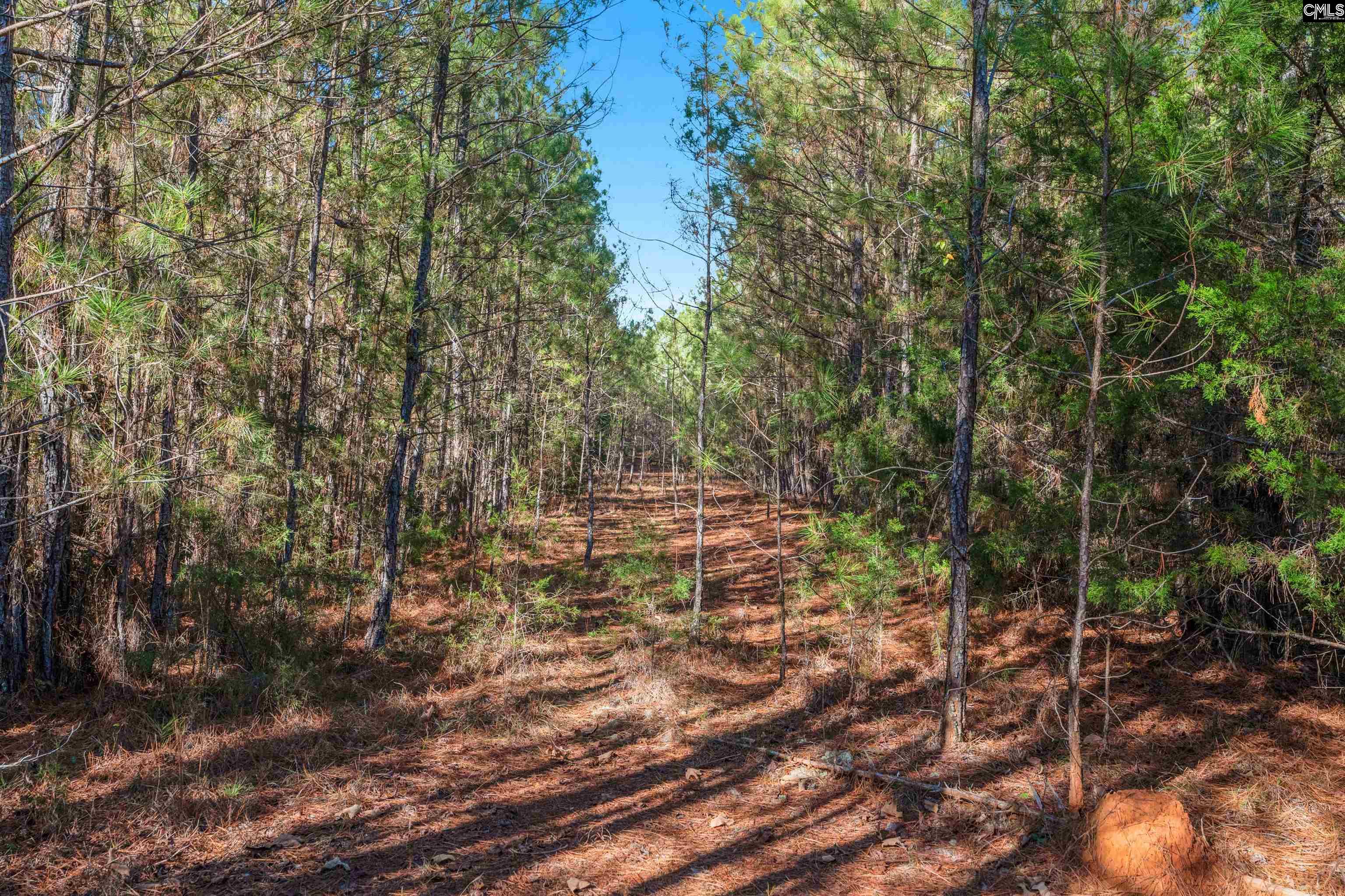 000 S Hwy 81 Calhoun Falls, SC 29628