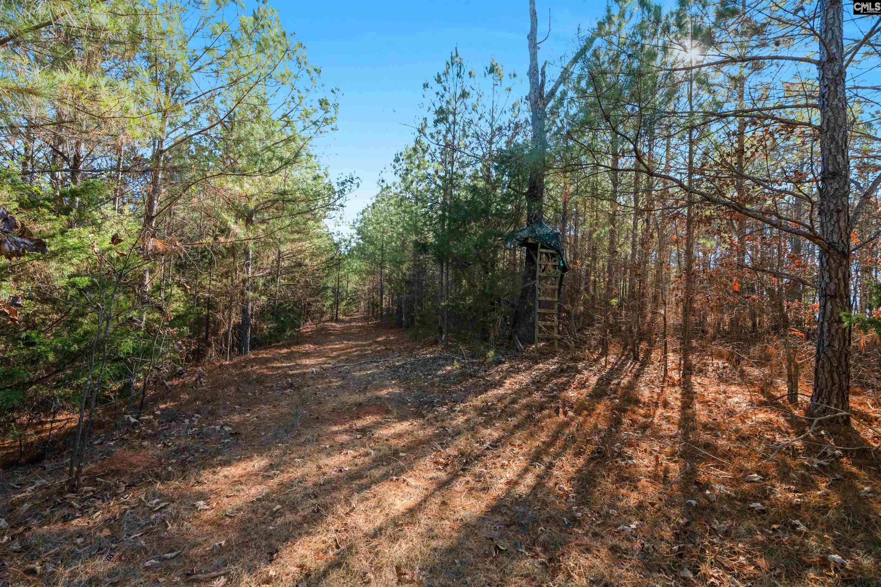000 S Hwy 81 Calhoun Falls, SC 29628