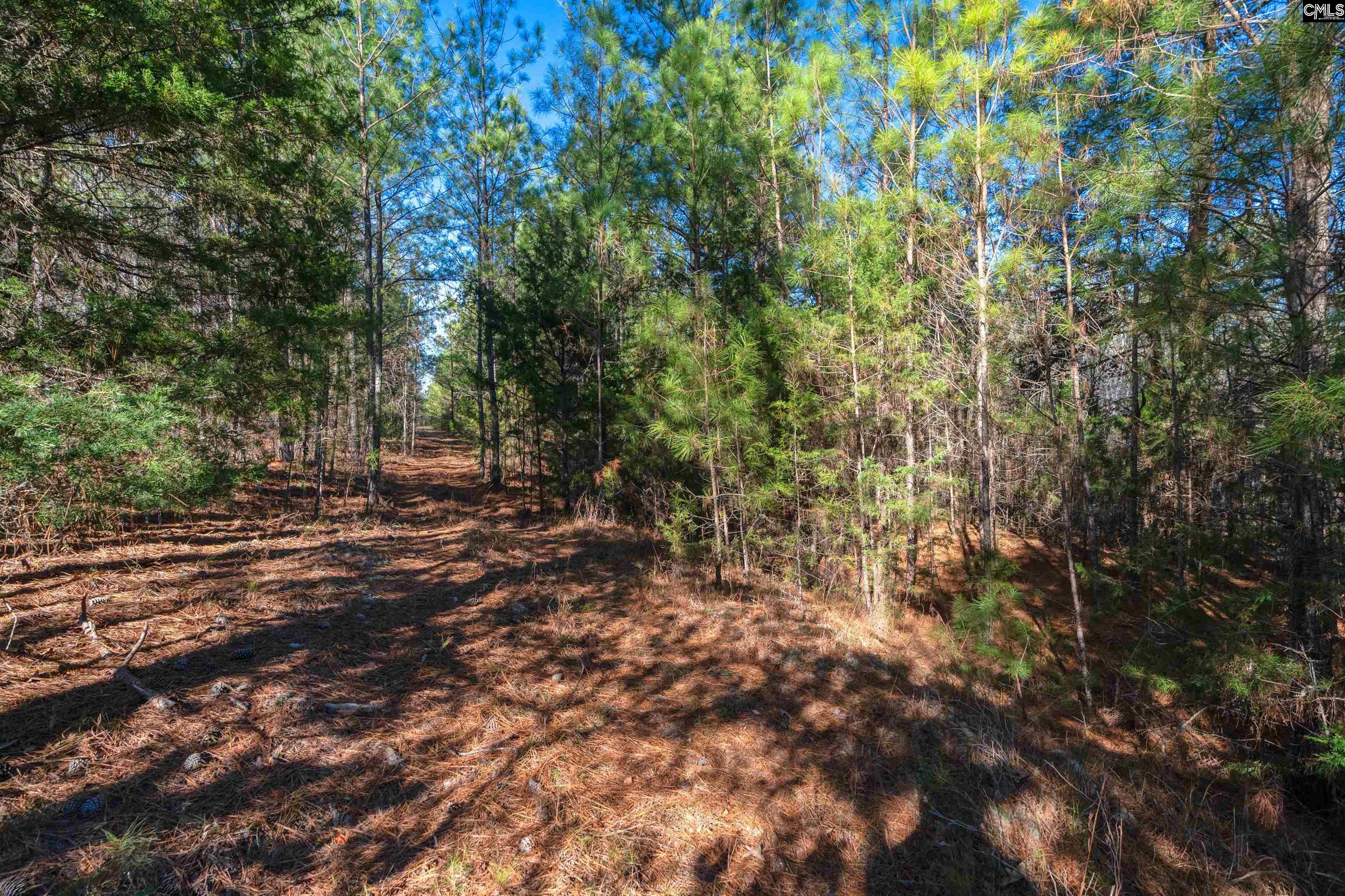 000 S Hwy 81 Calhoun Falls, SC 29628