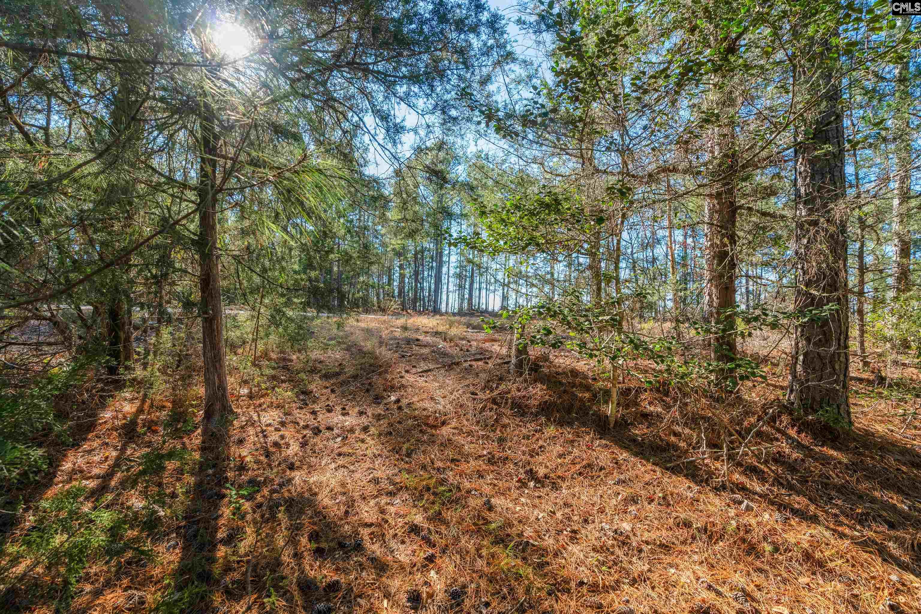 000 S Hwy 81 Calhoun Falls, SC 29628