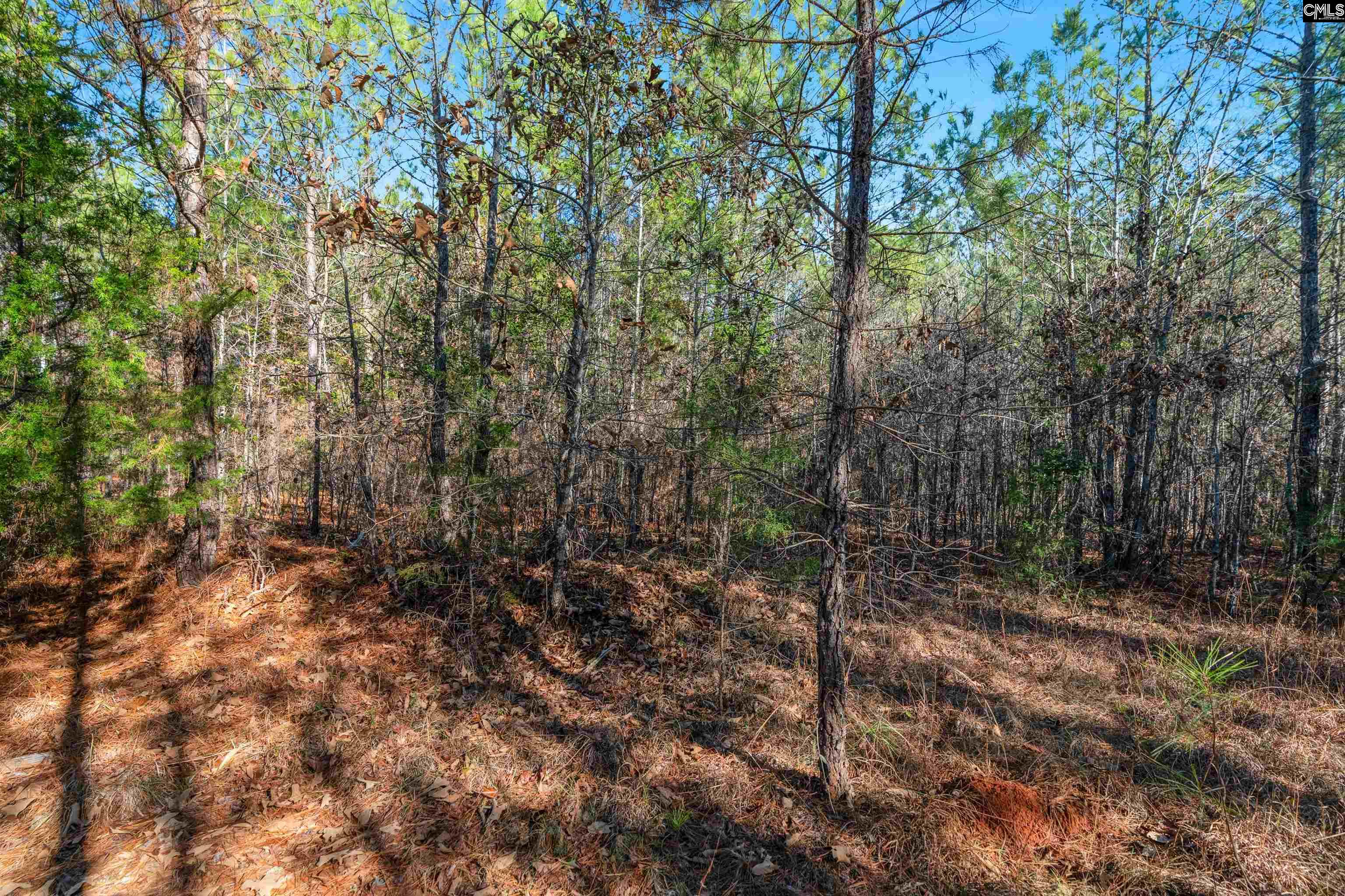 000 S Hwy 81 Calhoun Falls, SC 29628
