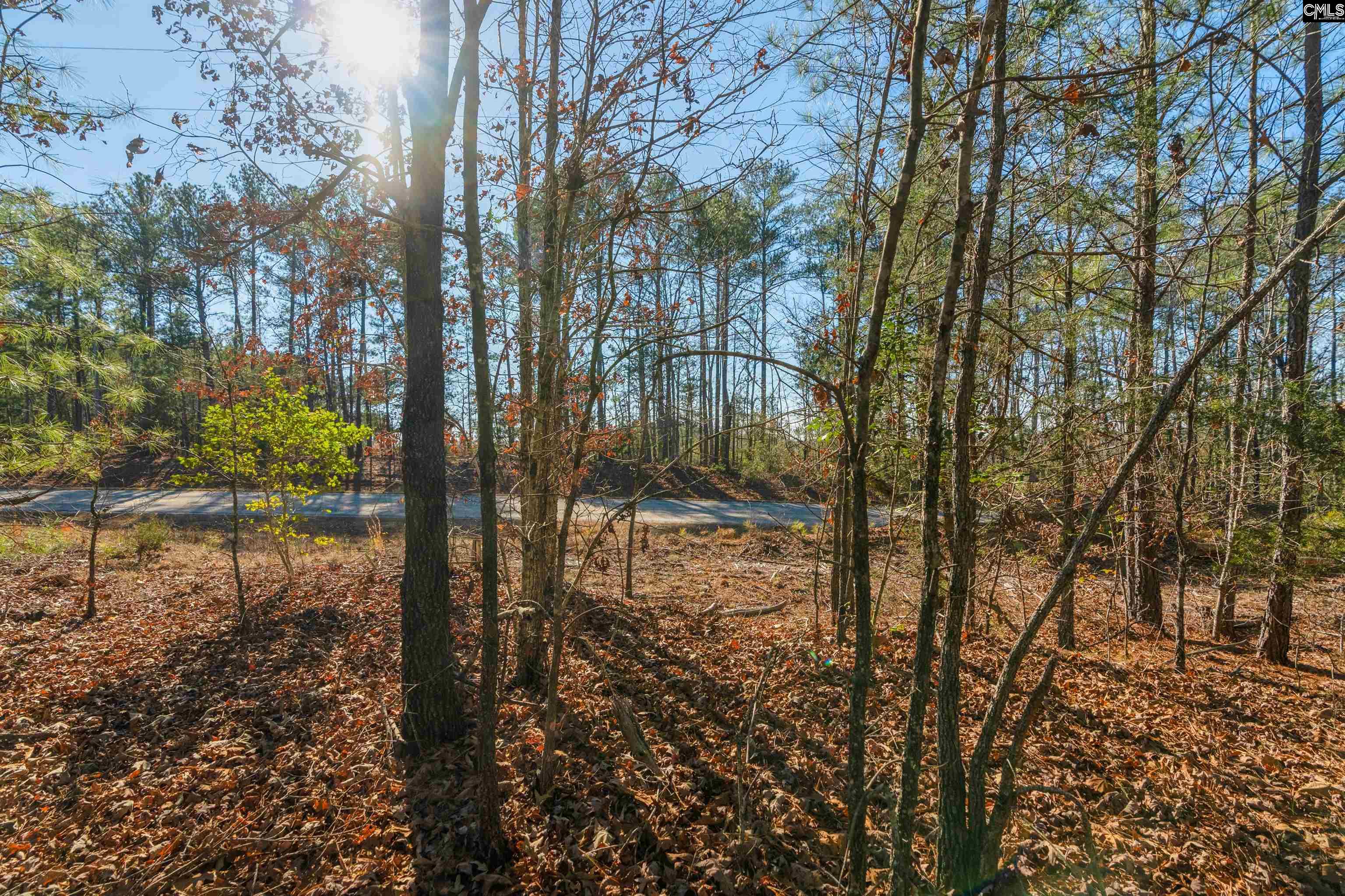 000 S Hwy 81 Calhoun Falls, SC 29628