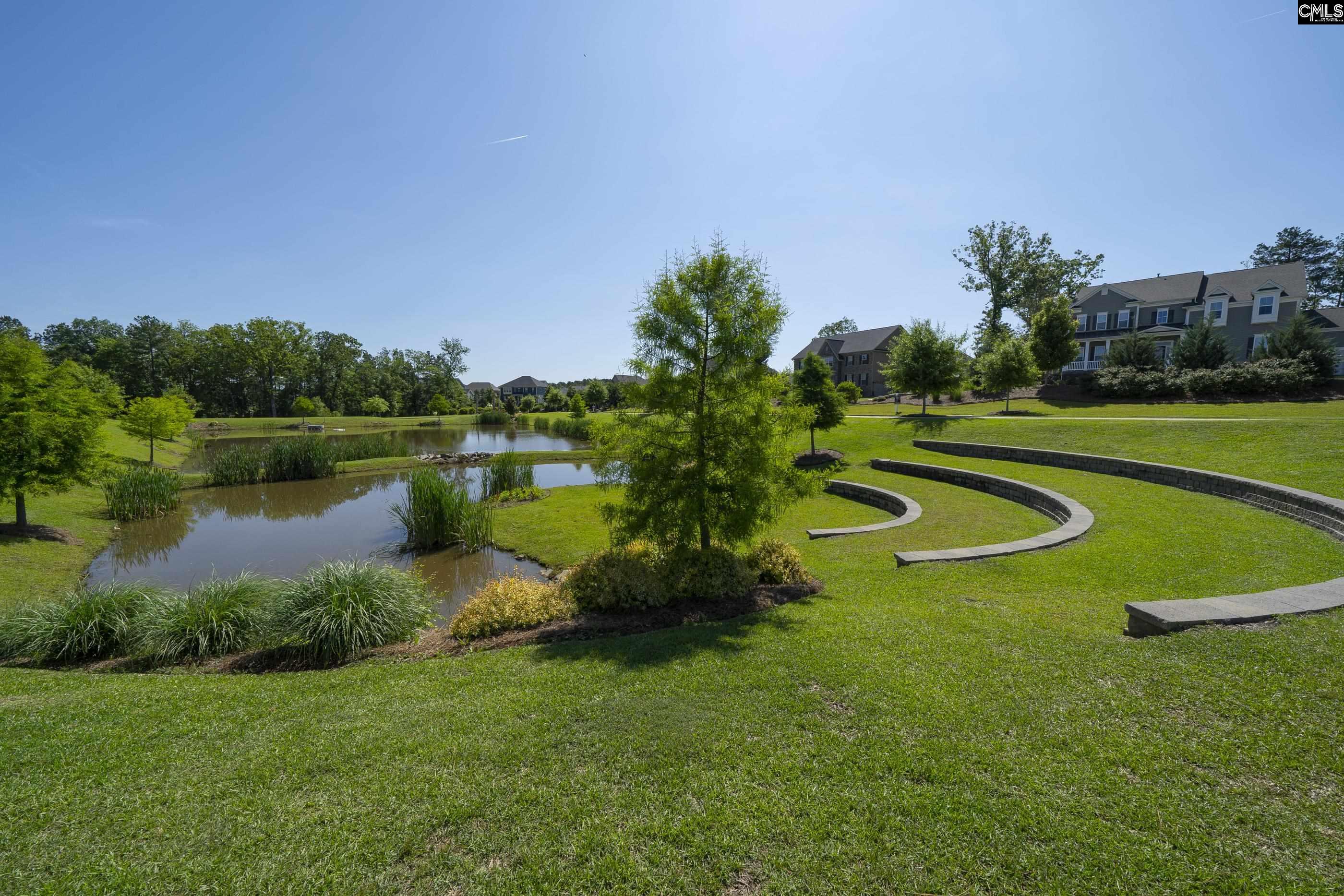 28 Starry Night Court Chapin, SC 29036-6329