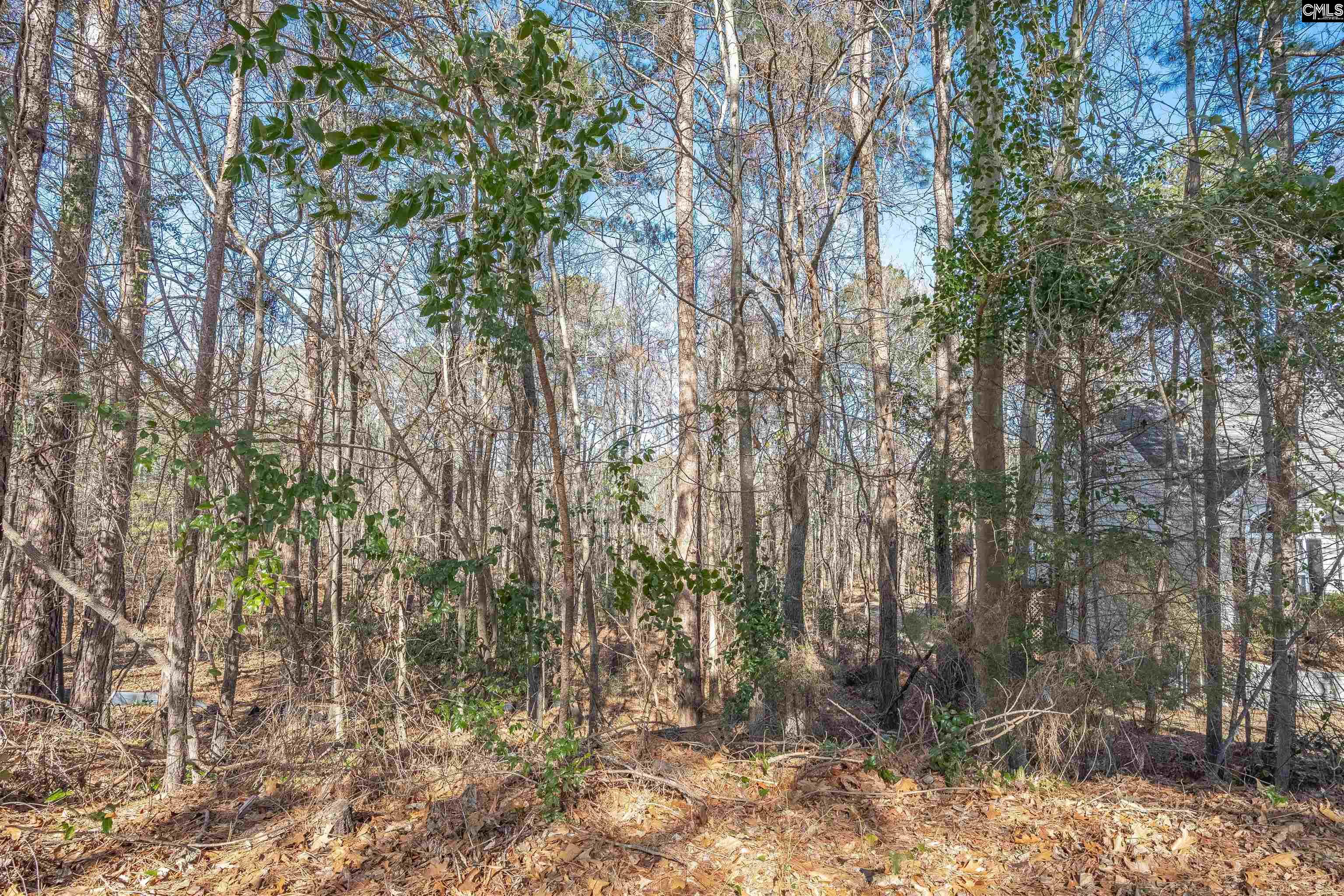 220 Waterville Drive Columbia, SC 29229