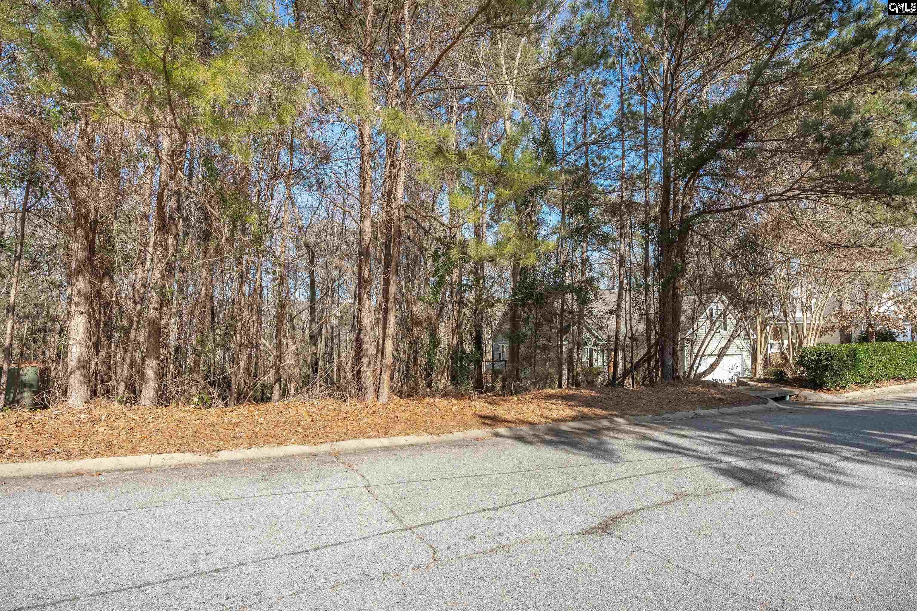 220 Waterville Drive Columbia, SC 29229
