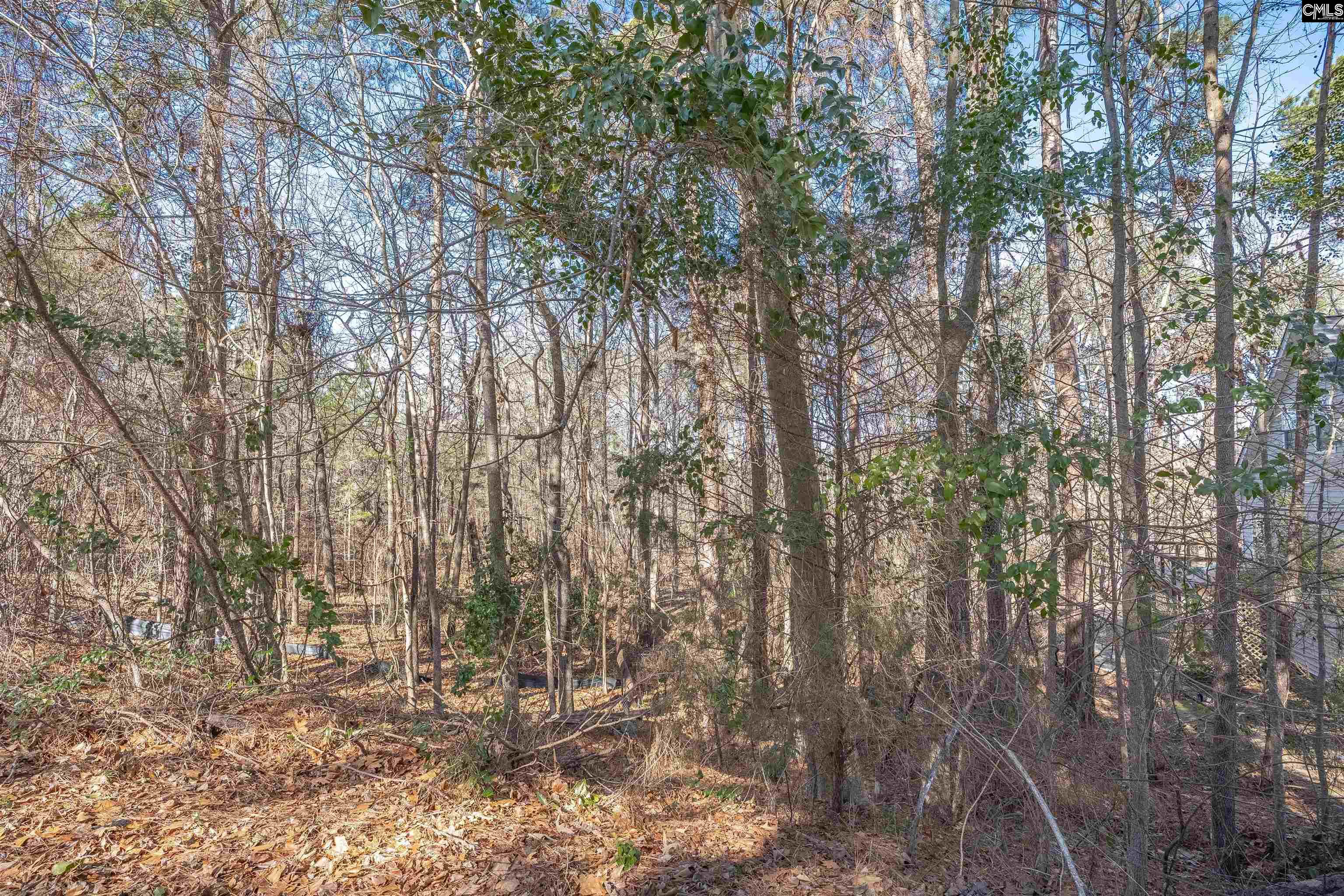 220 Waterville Drive Columbia, SC 29229