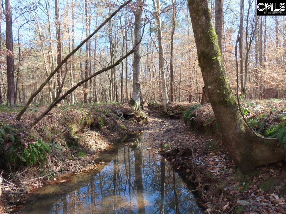 637 Cook Road Ridgeway, SC 29130