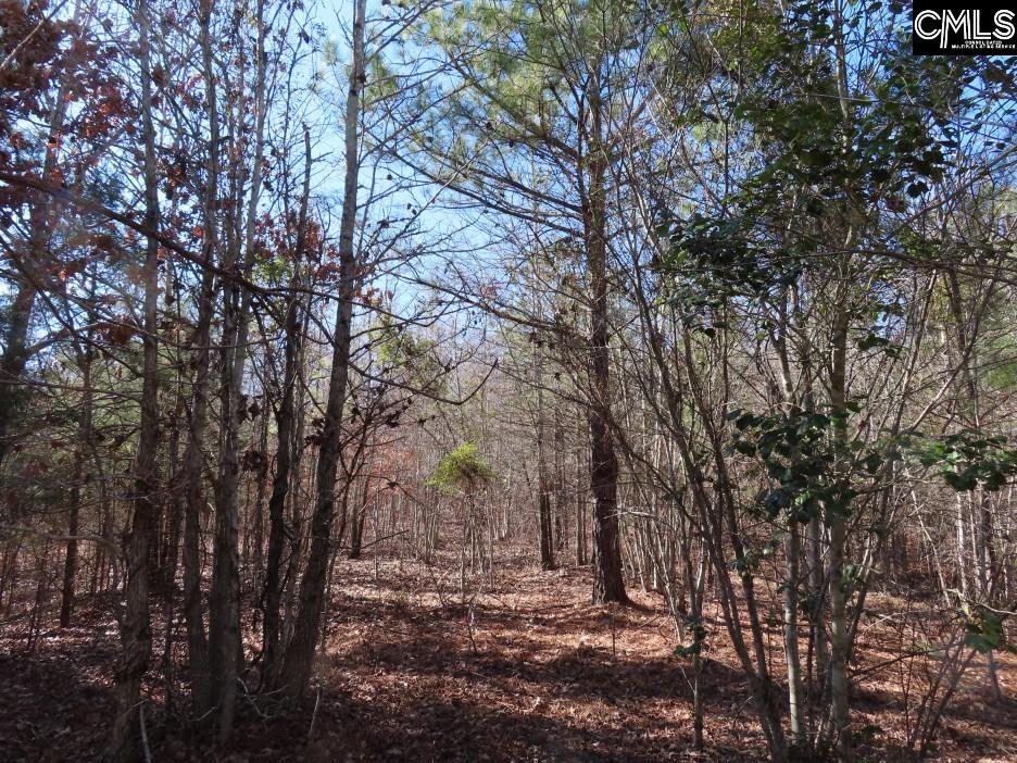 637 Cook Road Ridgeway, SC 29130