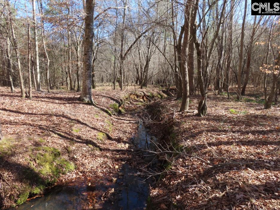 637 Cook Road Ridgeway, SC 29130