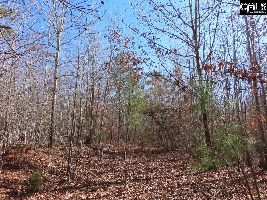 637 Cook Road Ridgeway, SC 29130