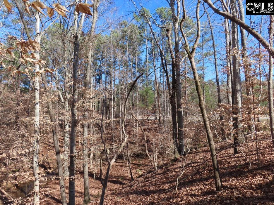 637 Cook Road Ridgeway, SC 29130