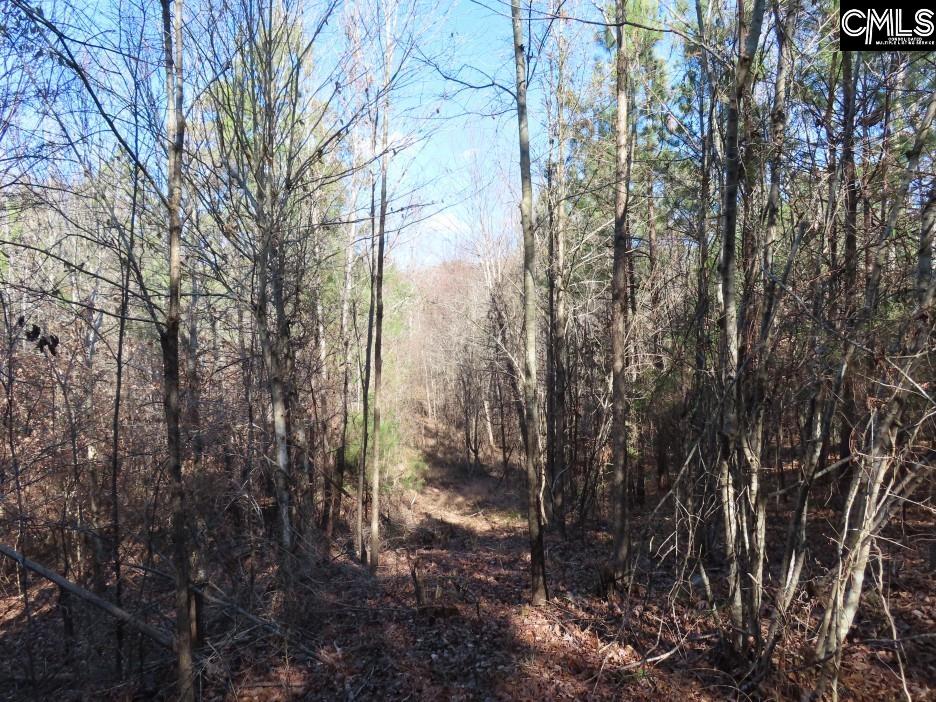 637 Cook Road Ridgeway, SC 29130