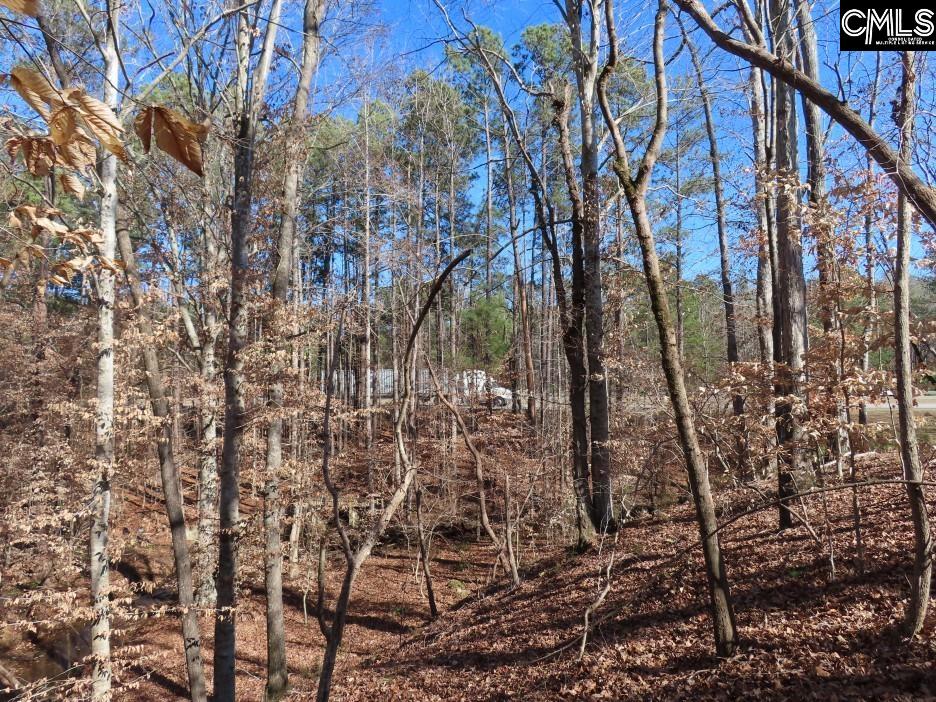637 Cook Road Ridgeway, SC 29130