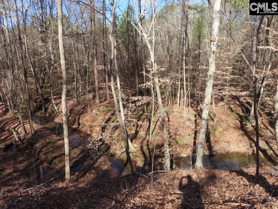 637 Cook Road Ridgeway, SC 29130