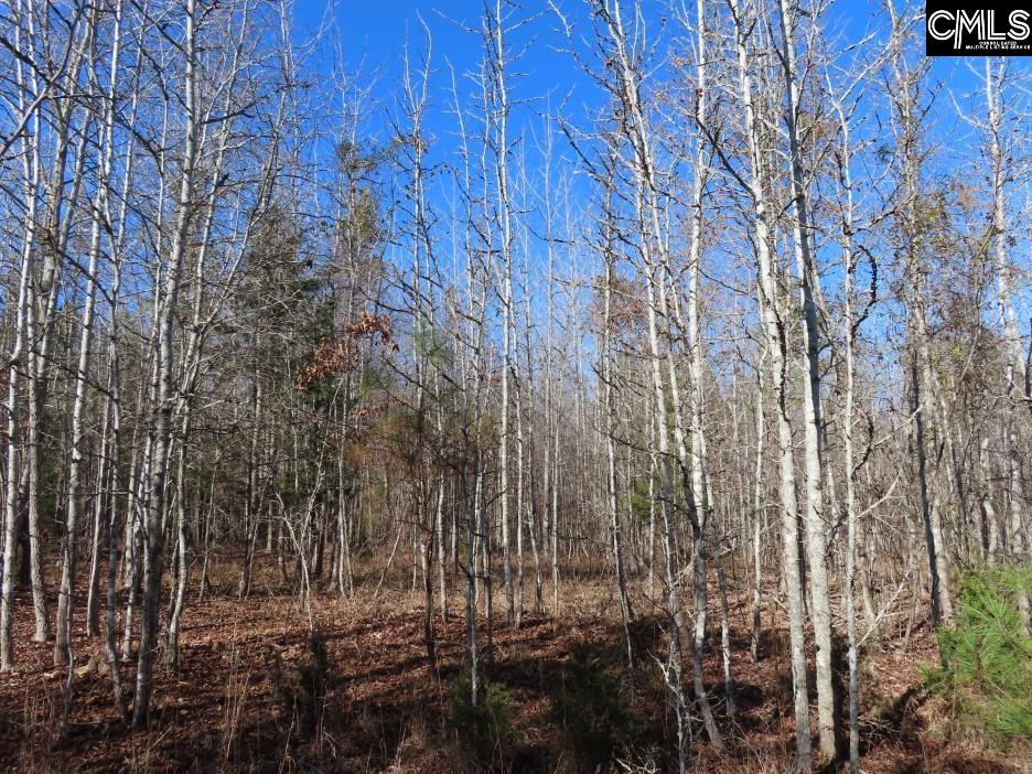 637 Cook Road Ridgeway, SC 29130