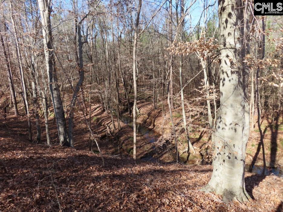 637 Cook Road Ridgeway, SC 29130