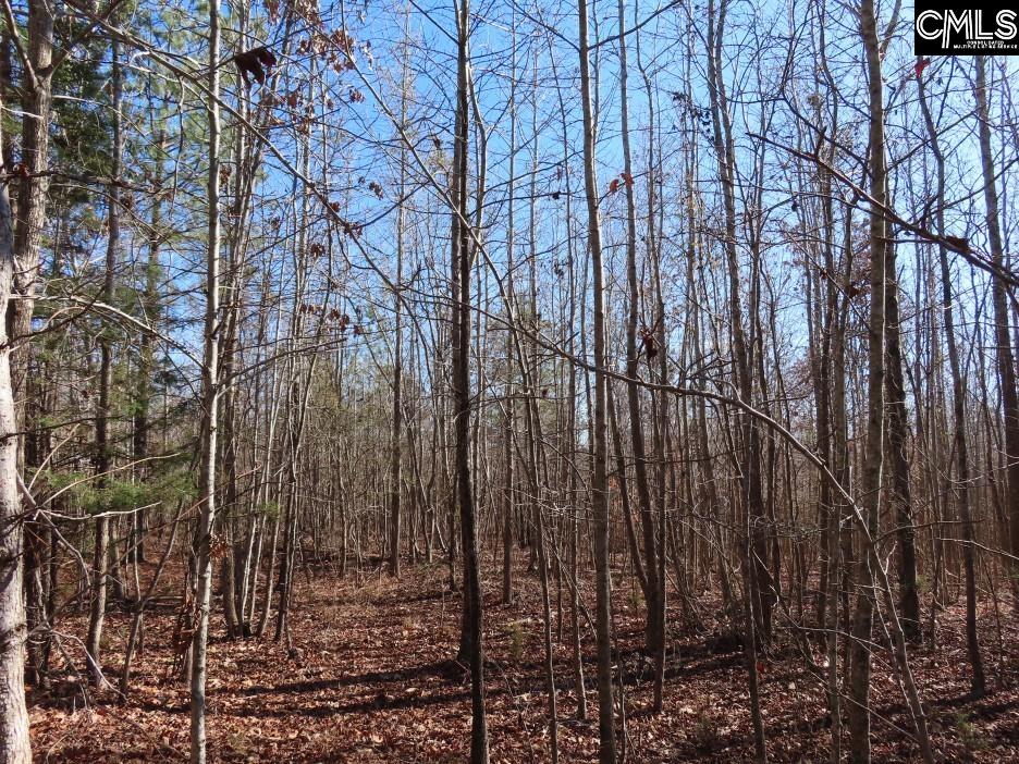 637 Cook Road Ridgeway, SC 29130