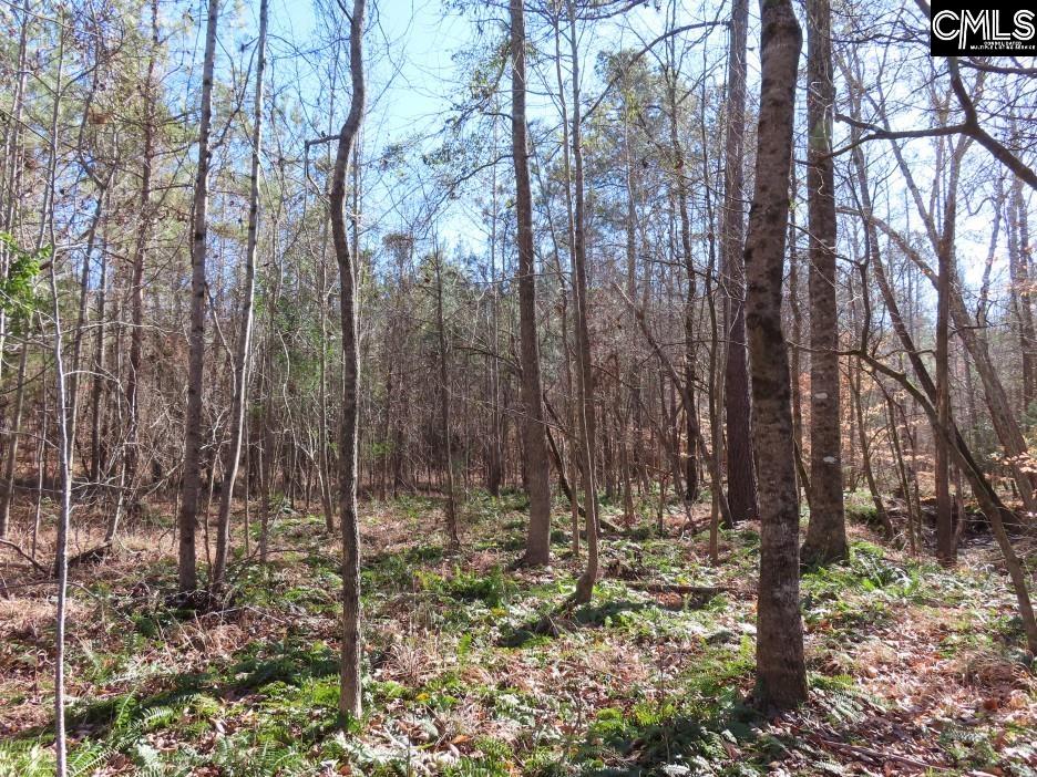 637 Cook Road Ridgeway, SC 29130