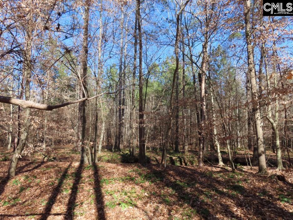 637 Cook Road Ridgeway, SC 29130