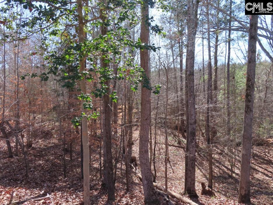 637 Cook Road Ridgeway, SC 29130