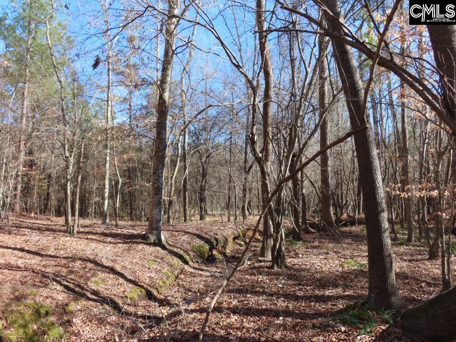 637 Cook Road Ridgeway, SC 29130