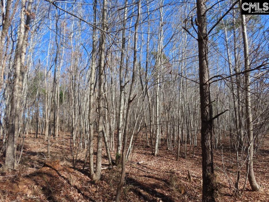 637 Cook Road Ridgeway, SC 29130