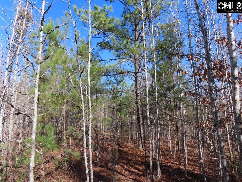 637 Cook Road Ridgeway, SC 29130