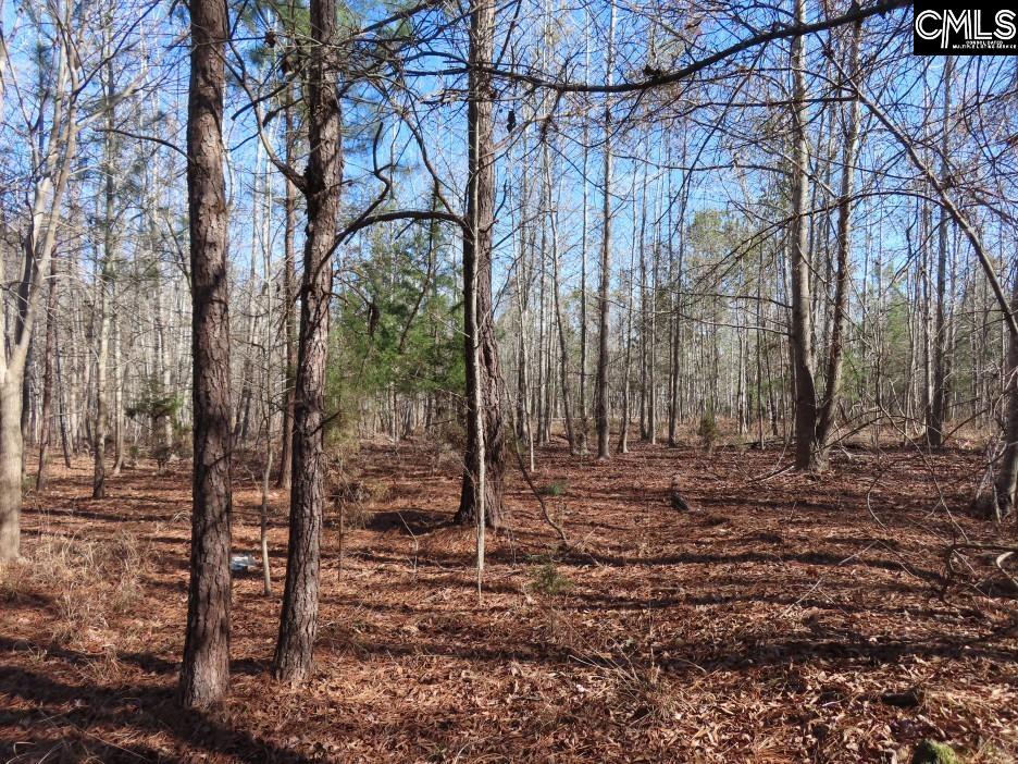 637 Cook Road Ridgeway, SC 29130
