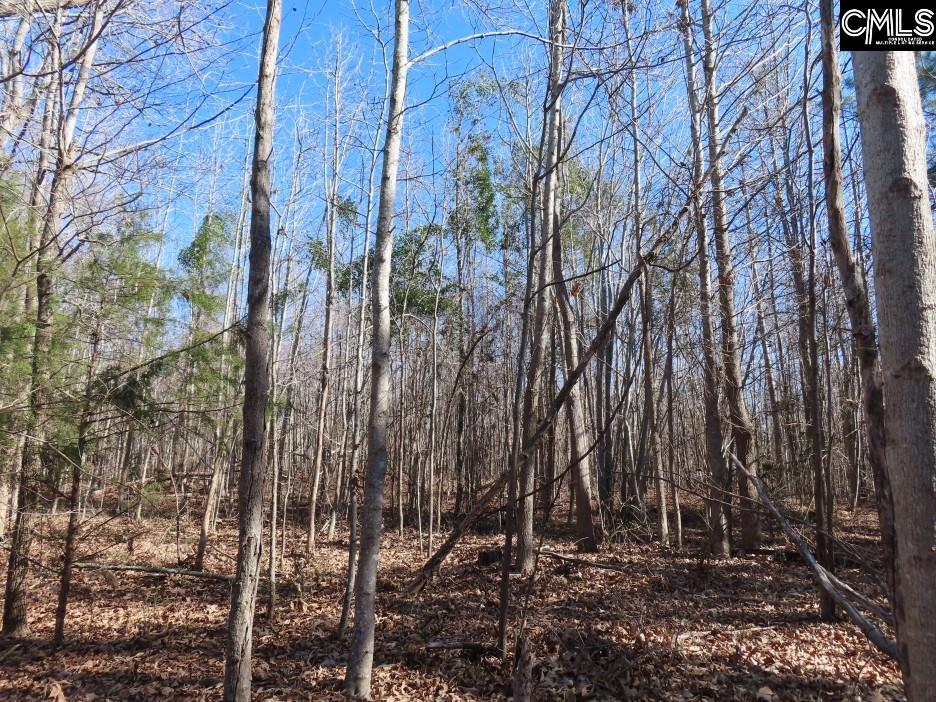 637 Cook Road Ridgeway, SC 29130