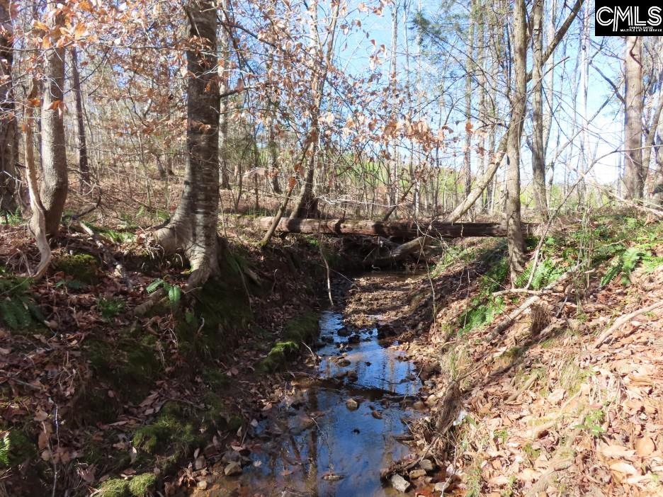 637 Cook Road Ridgeway, SC 29130