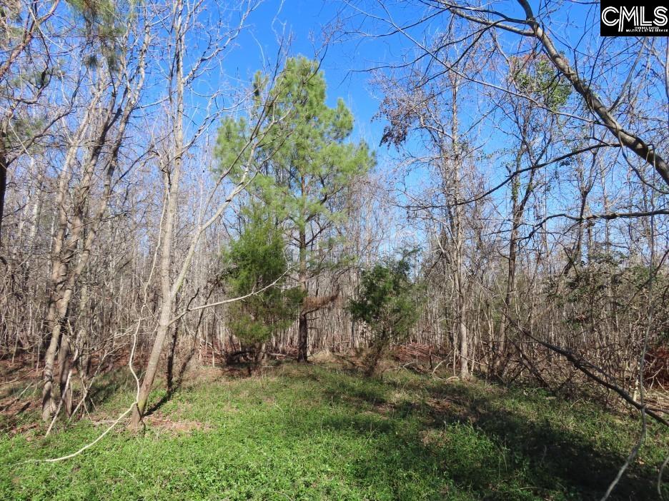 637 Cook Road Ridgeway, SC 29130