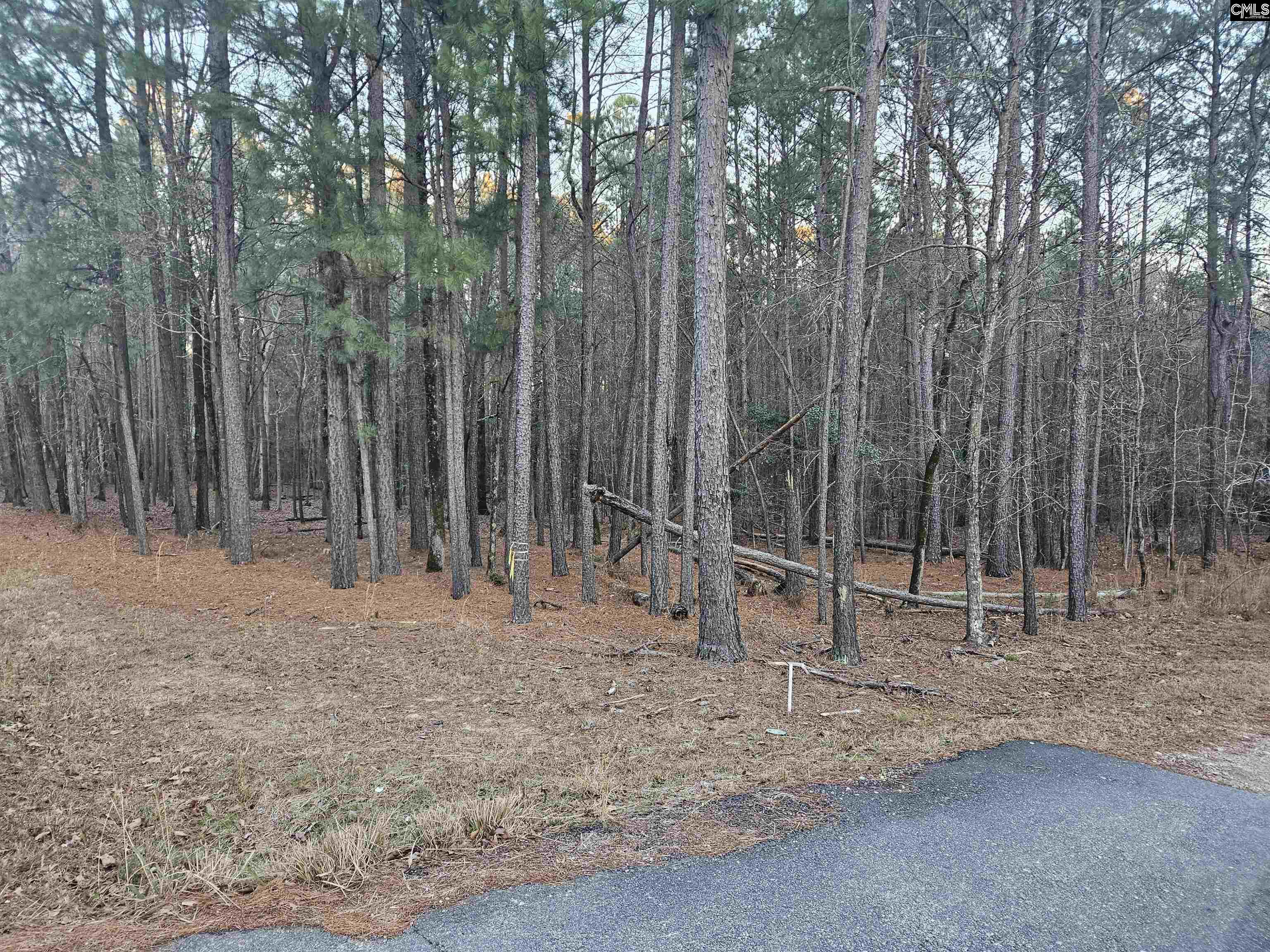 Hollands Landing Road UNIT #213 Prosperity, SC 29127